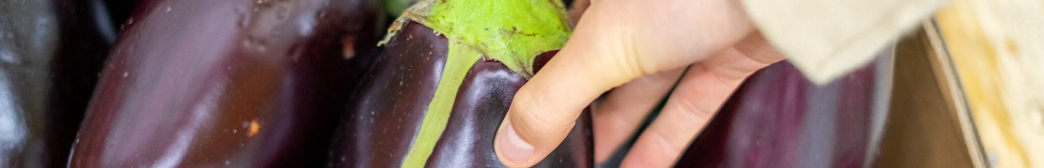 InstockMarket portfolio header InstockMarket portfolio header